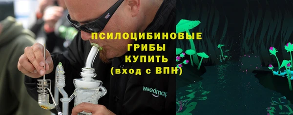 соль курить ск Инсар