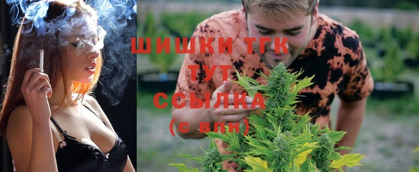 соль курить ск Инсар